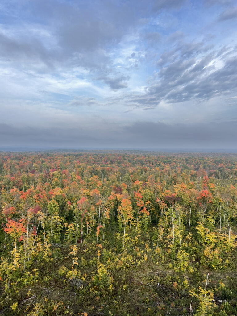 THE BEST PLACES TO SEE FALL COLORS IN NORTHEAST WISCONSIN