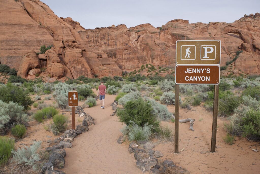 Jenny's Canyon Hike at Snow Canyon State Park