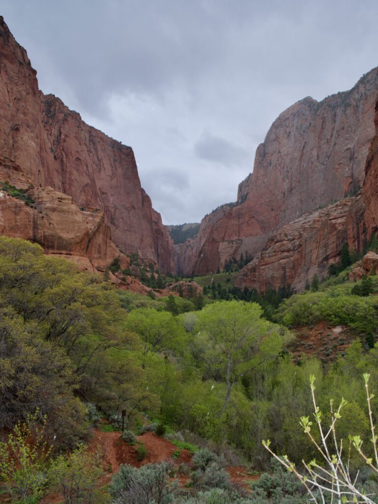 Kolob Canyons - Zion National Park. Things to do in St. George Utah