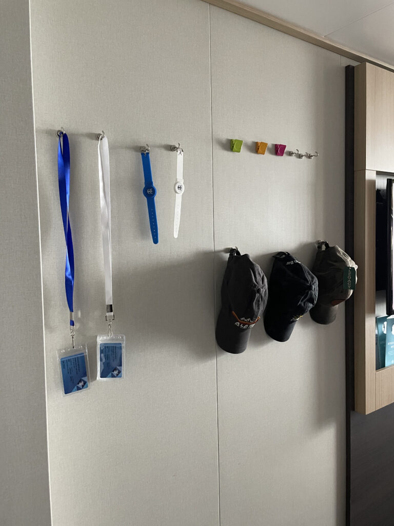 Magnetic hooks to put on cruise ship walls