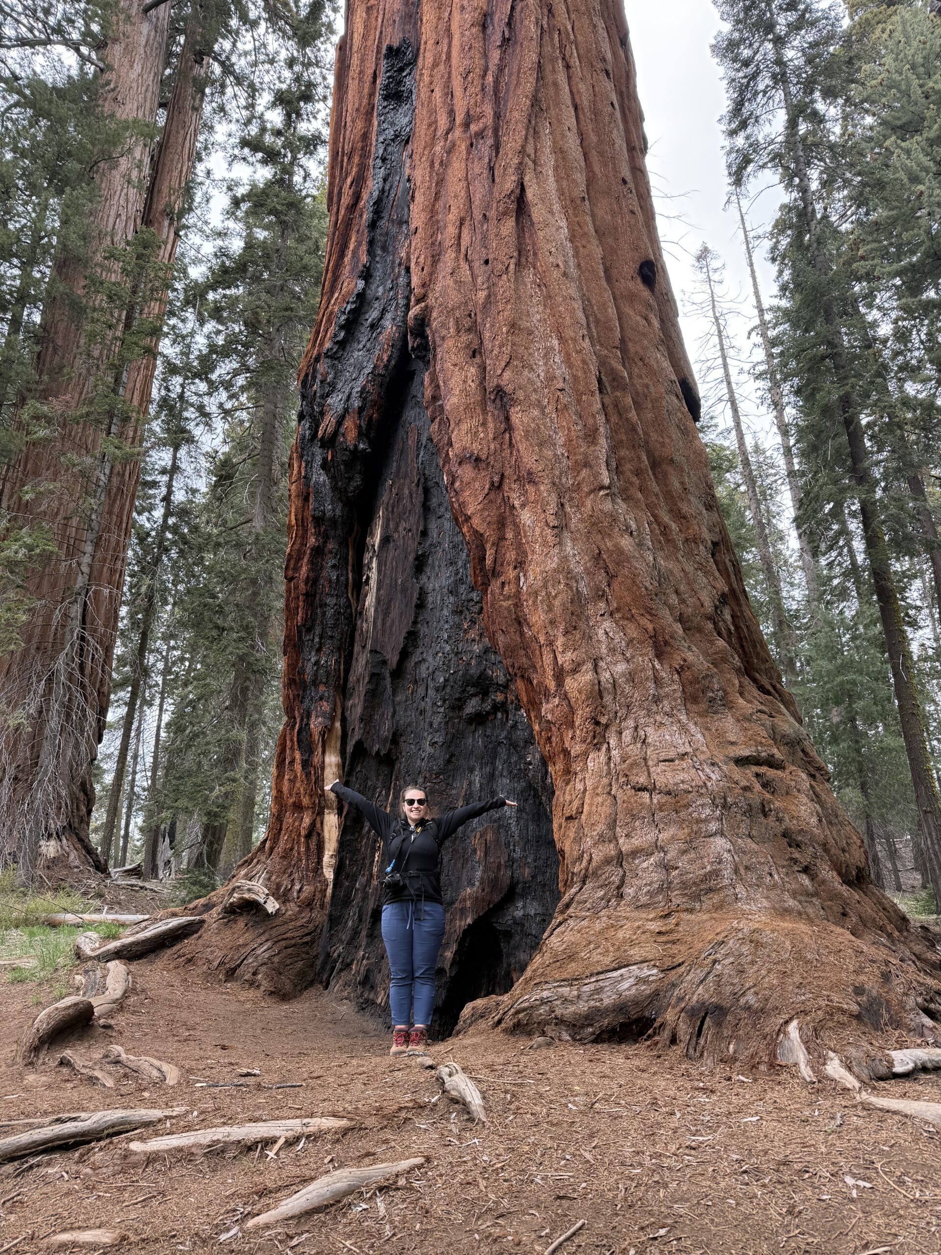 ULTIMATE SEQUOIA NATIONAL PARK ITINERARY: BEST SIGHTS IN ONE DAY