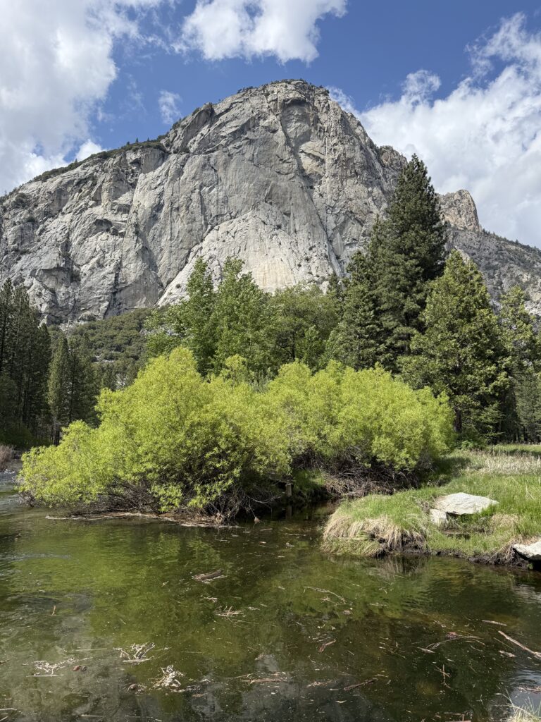 KINGS CANYON IN ONE DAY: 8 BEST THINGS TO DO