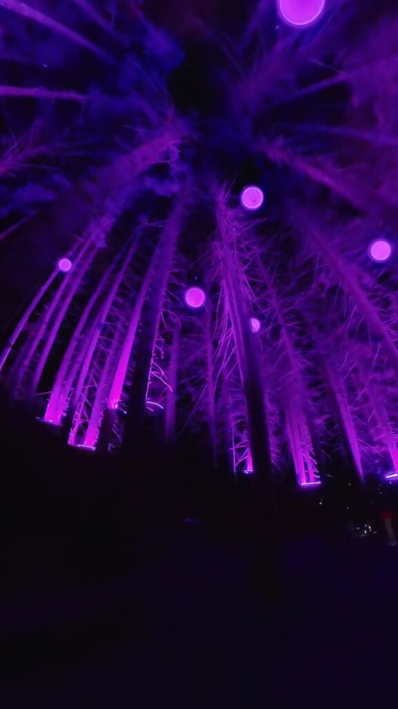 Vallea Lumina