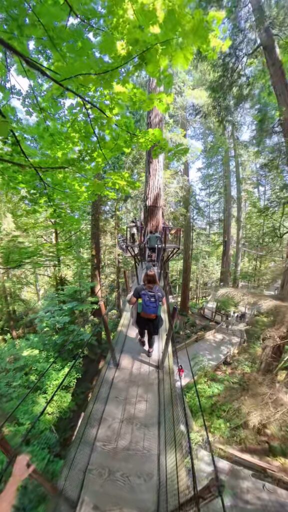Capilano Treetops Adventure